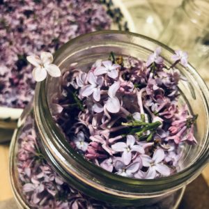 Herbal Wellness Consultations